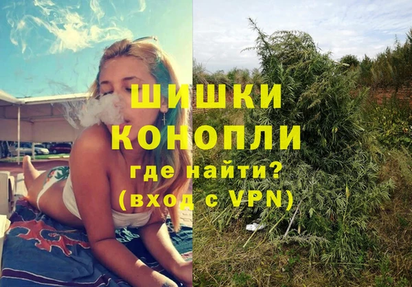 альфа пвп Медвежьегорск