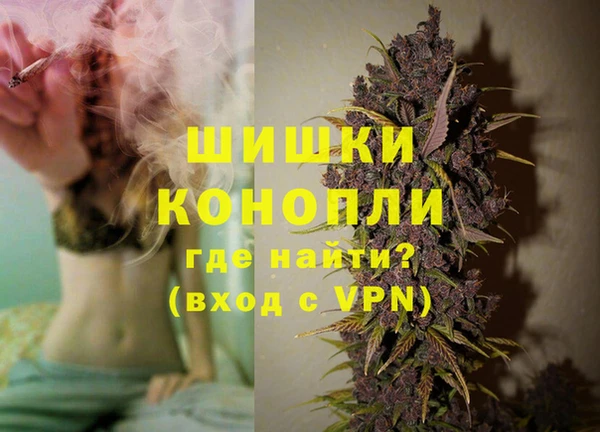 альфа пвп Медвежьегорск