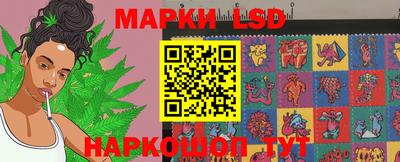 мдпв Гай