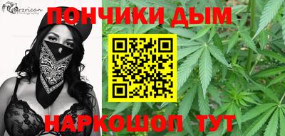 гидра Гатчина