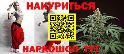 гидра Гатчина