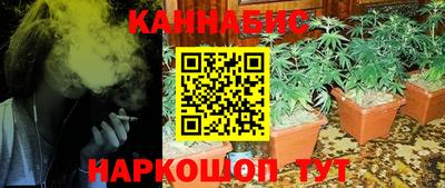 гидра Гатчина