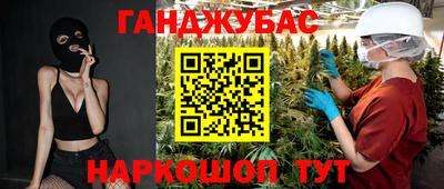 гидра Гатчина