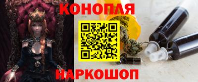 гидра Гатчина
