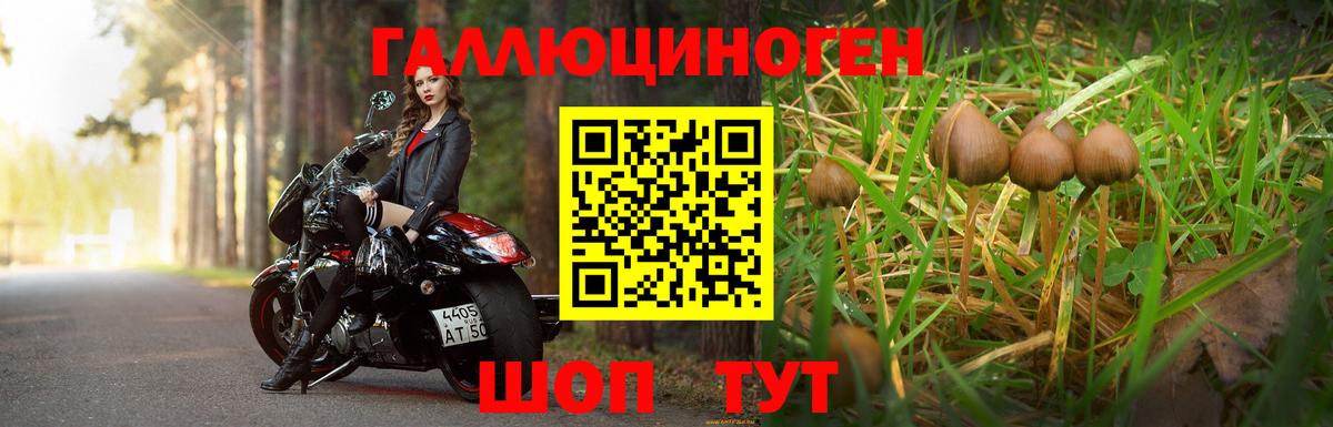 Галлюциногенные грибы мухоморы Десногорск